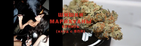молекула духа Карпинск