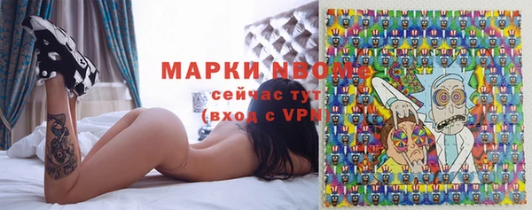 молекула духа Карпинск