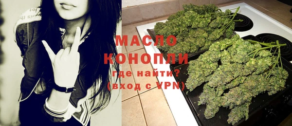 молекула духа Карпинск