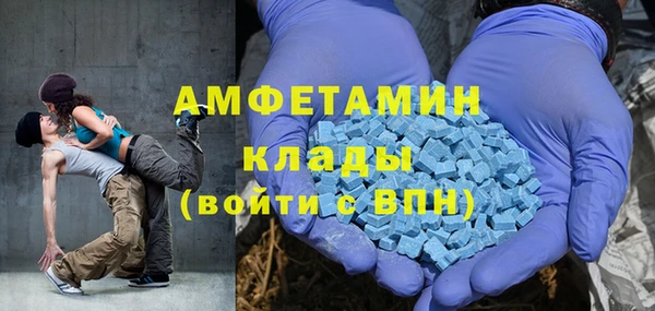 молекула духа Карпинск