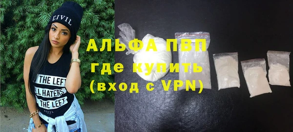 молекула духа Карпинск