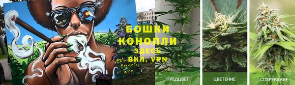 молекула духа Карпинск