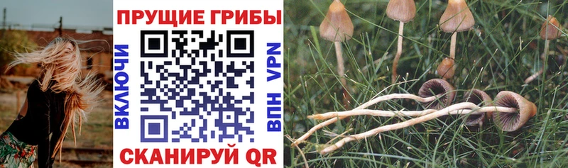 Галлюциногенные грибы MAGIC MUSHROOMS  Купить  Белозерск 